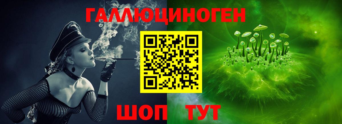 Красноярск  Галлюциногенные грибы Psilocybe  Вход с VPN  Галлюциногенные грибы прущие грибы 